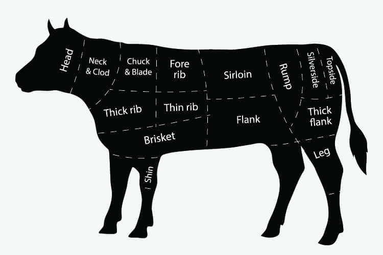 Diagram of different cuts of beef - What happens if you cook brisket too fast, Pit Boss brisket cooking too fast - The Barbecue Grill 